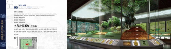 貴州民族醫藥博物館設計