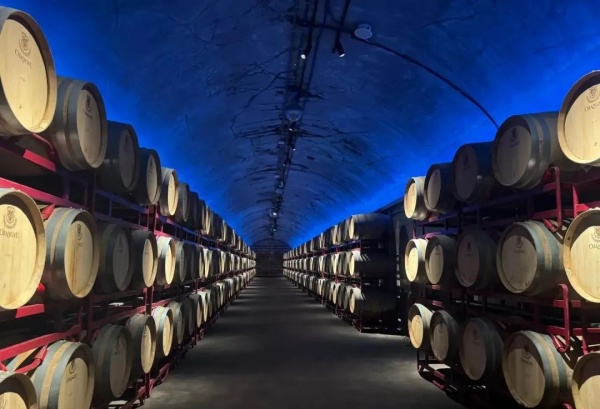 酒文化博物館設(shè)計