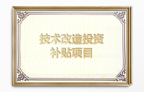 技術(shù)改造投資補(bǔ)貼項(xiàng)目
