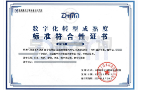 數(shù)字化轉(zhuǎn)型成熟度評(píng)估DTMM
